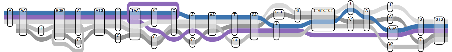 Graph pangenome courtesy of HPRC website