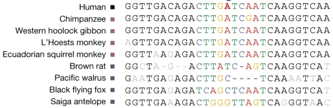 MSA from https://www.nature.com/articles/s41586-023-06798-8/figures/4